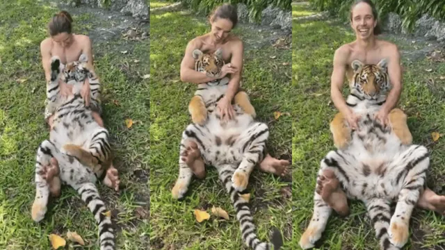 viral-video-of-man-cuddling-and-tickling-tiger-leaves-internet-speechless-watch